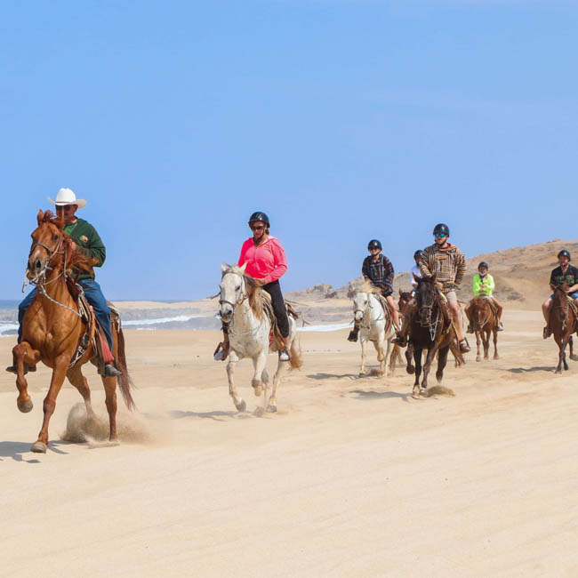 Horse back riding in Los Cabos