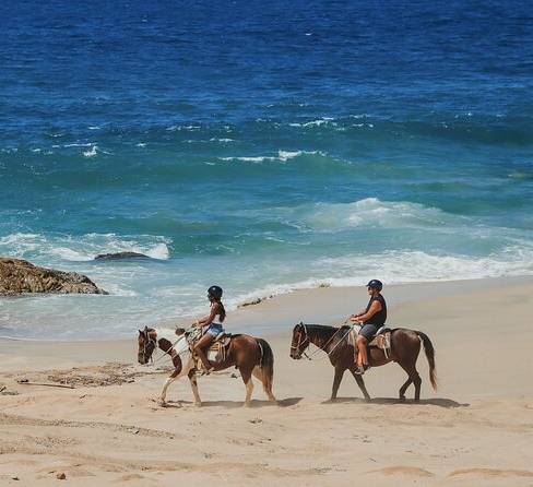 Cabo activities: horseback riding